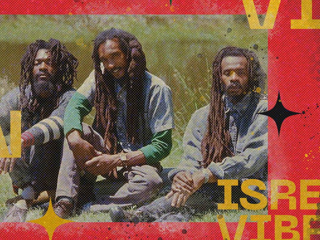 News | Spotlight on Israel Vibration | Colourful